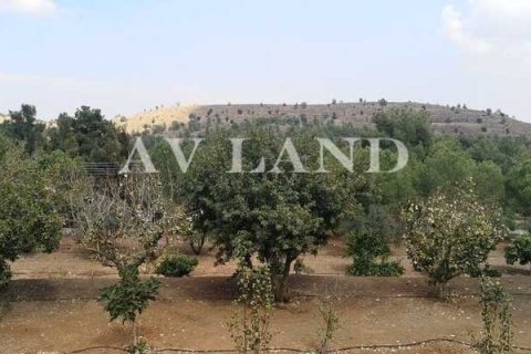 5 chambres House à Mosfiloti, Cyprus No. 62567 5