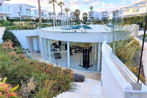 3 chambres House à Pegeia, Cyprus No. 30726 12