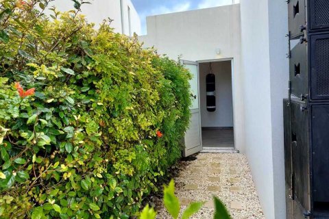 3 chambres House à Pegeia, Cyprus No. 30726 6