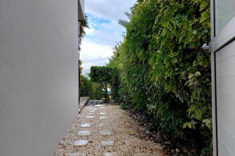 3 chambres House à Pegeia, Cyprus No. 30726 15