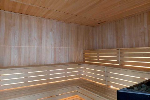 3 chambres House à Pegeia, Cyprus No. 30726 13