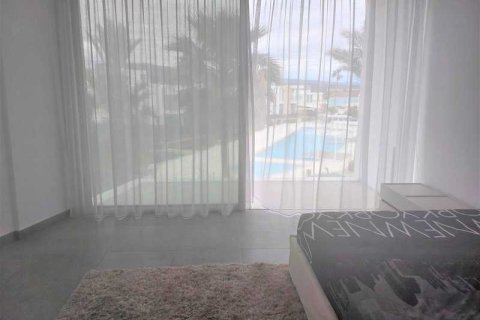 3 chambres House à Pegeia, Cyprus No. 30726 9