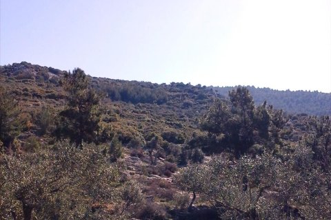 13000m² Land in Kavala, Greece No. 60481 5