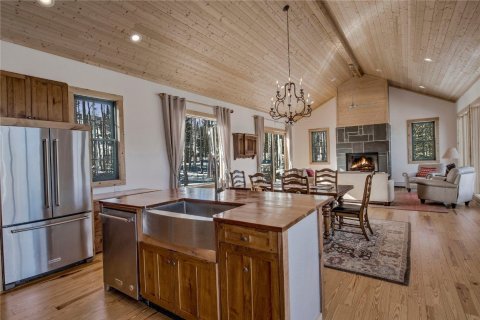 4 bedrooms House in Fairplay, USA No. 78814 8