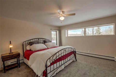 4 bedrooms House in Fairplay, USA No. 78814 30