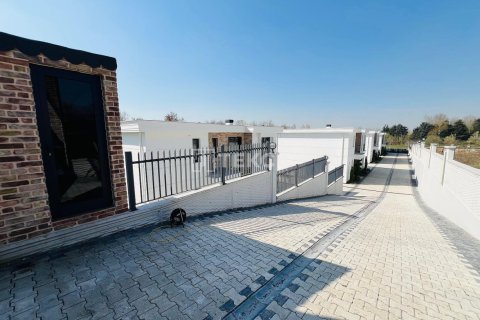 7 bedrooms Villa in Binh Khanh Tay, Vietnam No. 86909 6