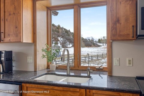 4 bedrooms House in Glenwood Springs, USA No. 84661 22