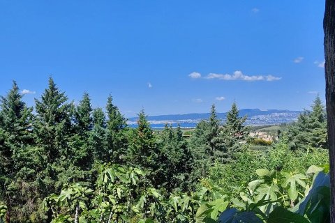 5 bedrooms House in Thermaic Gulf, Greece No. 109044 25