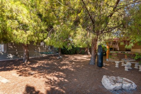 5 bedrooms Villa in Nam Xay, Vietnam No. 85640 13