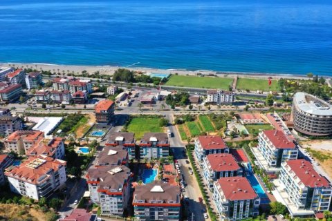 2 rooms Apartment in Tri Phuong, Vietnam No. 21554 4