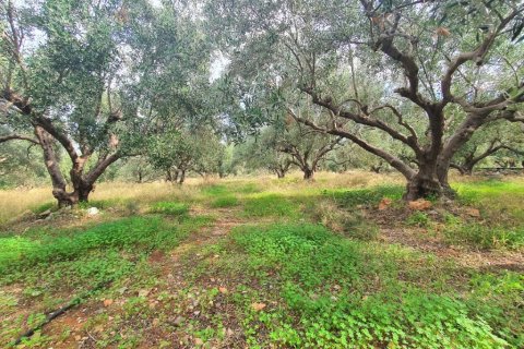 2400m² Land in Neapoli, Greece No. 109502 2