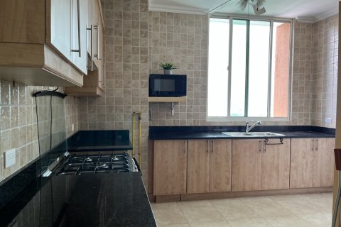 Квартира с 3 спальнями в Панама №122436 30