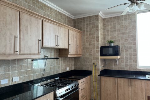 Квартира с 3 спальнями в Панама №122436 6