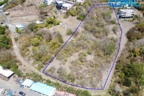 Земельный участок 15204.05м² в Point Salines, Гренада №53189 3