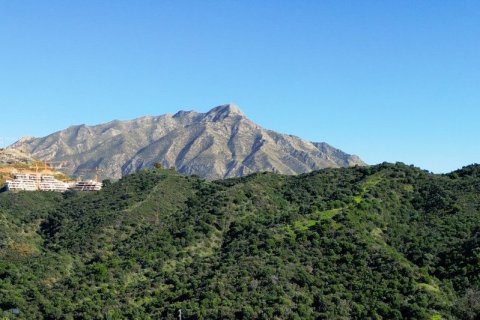 3 chambres Appartement à Cat Trinh, Vietnam No. 83964 27