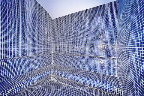 3 chambres Penthouse à Chau Lang, Vietnam No. 14414 20