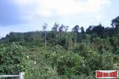 34780m² Land in Ao Nang, Thailand No. 95659 4