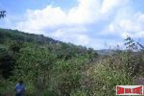 34780m² Land in Ao Nang, Thailand No. 95659 5