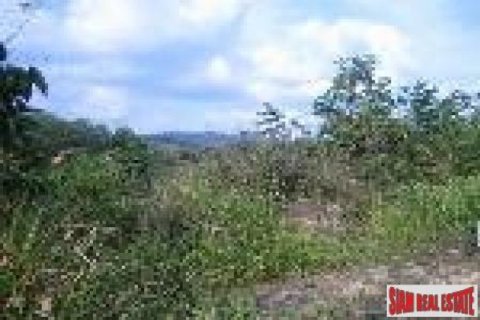 34780m² Land in Ao Nang, Thailand No. 95659 6