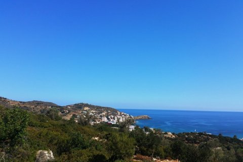 15000m² Land in Rethymno, Greece No. 59031 3