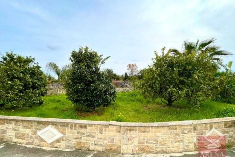 5 bedrooms Villa in Protaras, Cyprus No. 80779 3