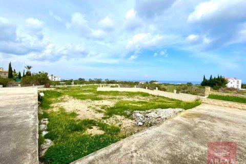 5 bedrooms Villa in Protaras, Cyprus No. 80779 5