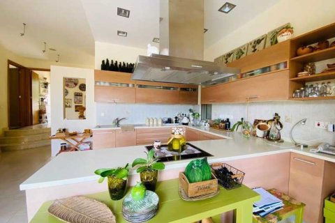 Дом с 5 спальнями в Мутайяка, Кипр №100563 10