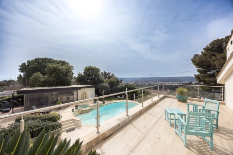 7 chambres Villa à Saint-Paul-de-Vence, France No. 100235 9