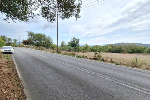 8000m² Land in Corfu, Greece No. 109300 5