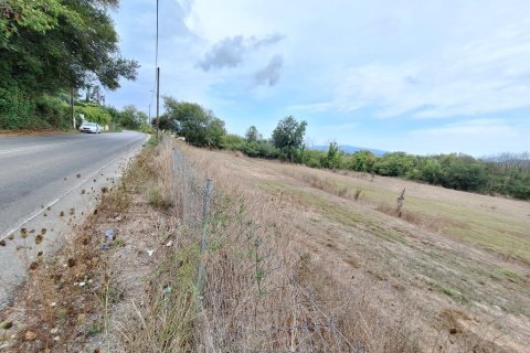 8000m² Land in Corfu, Greece No. 109300 3