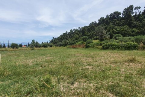 3928m² Land in Chalkidiki, Greece No. 56560 1
