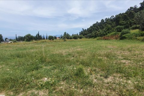 3928m² Land in Chalkidiki, Greece No. 56560 4