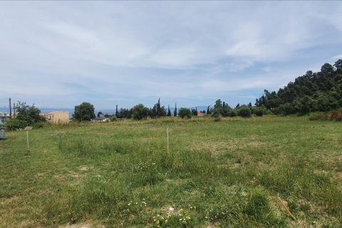 3928m² Land in Chalkidiki, Greece No. 56560 3