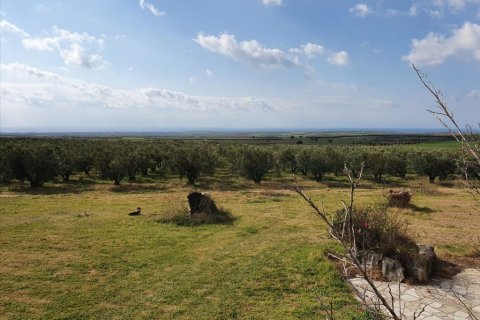 4 bedrooms House in Chalkidiki, Greece No. 56663 13