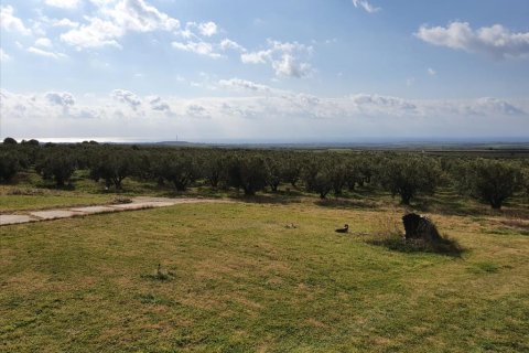 4 bedrooms House in Chalkidiki, Greece No. 56663 1