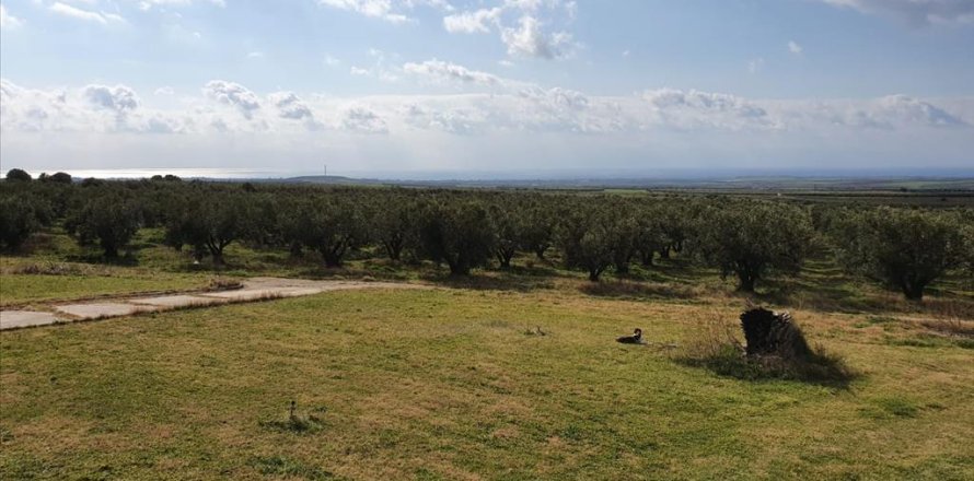 4 bedrooms House in Chalkidiki, Greece No. 56663