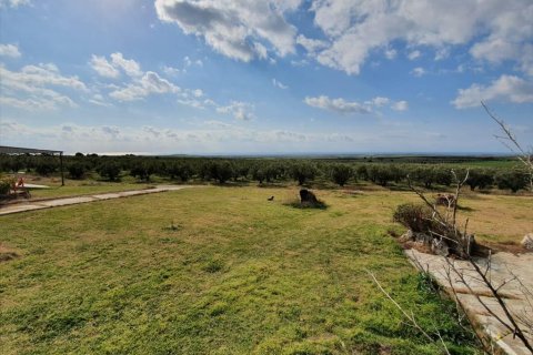 4 bedrooms House in Chalkidiki, Greece No. 56663 14