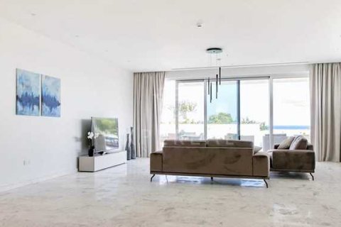 5 bedrooms Villa in Ayia Napa, Cyprus No. 75666 3