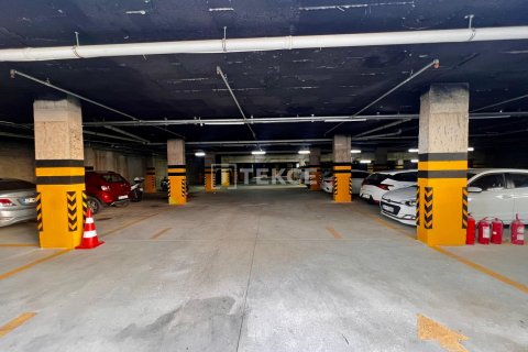 1 chambre Appartement à Chau Lang, Vietnam No. 66483 19