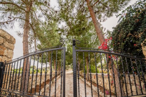 4 bedrooms Villa in Paphos, Cyprus No. 106250 14