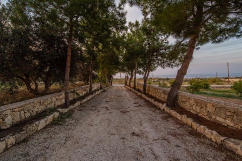 4 bedrooms Villa in Paphos, Cyprus No. 106250 15