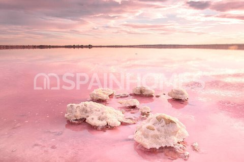 3 bedrooms Villa in Hai Bac, Vietnam No. 88361 6