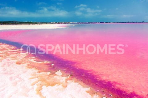 3 bedrooms Villa in Hai Bac, Vietnam No. 88361 7