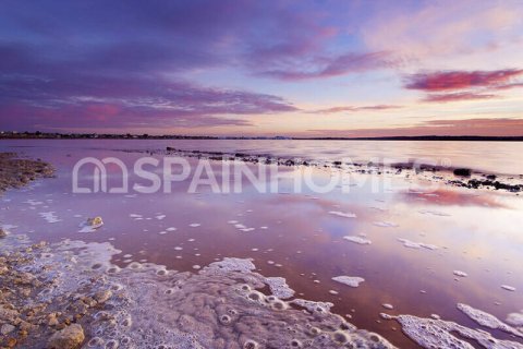 3 bedrooms Villa in Hai Bac, Vietnam No. 88361 9