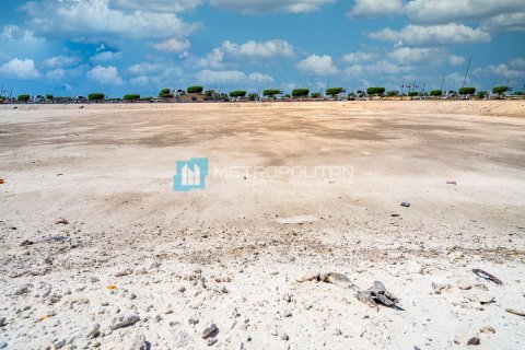 421m² Land in Al Hadid W Al Solb Old Housing, Vietnam No. 95379 3