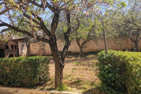 520m² House in Saronida, Greece No. 55266 18