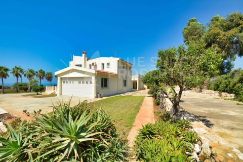 5 bedrooms Villa in Ayia Napa, Cyprus No. 36582 11