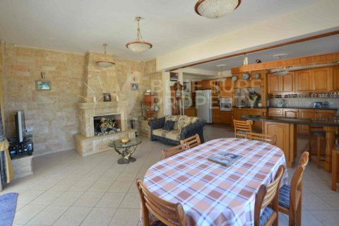 5 bedrooms Villa in Ayia Napa, Cyprus No. 36582 25