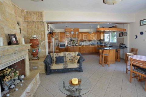 5 bedrooms Villa in Ayia Napa, Cyprus No. 36582 26