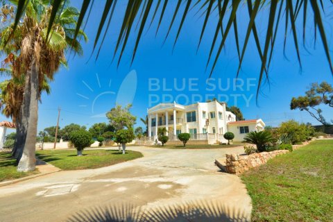 5 bedrooms Villa in Ayia Napa, Cyprus No. 36582 14